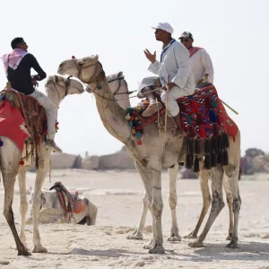 Equip a Camel Library