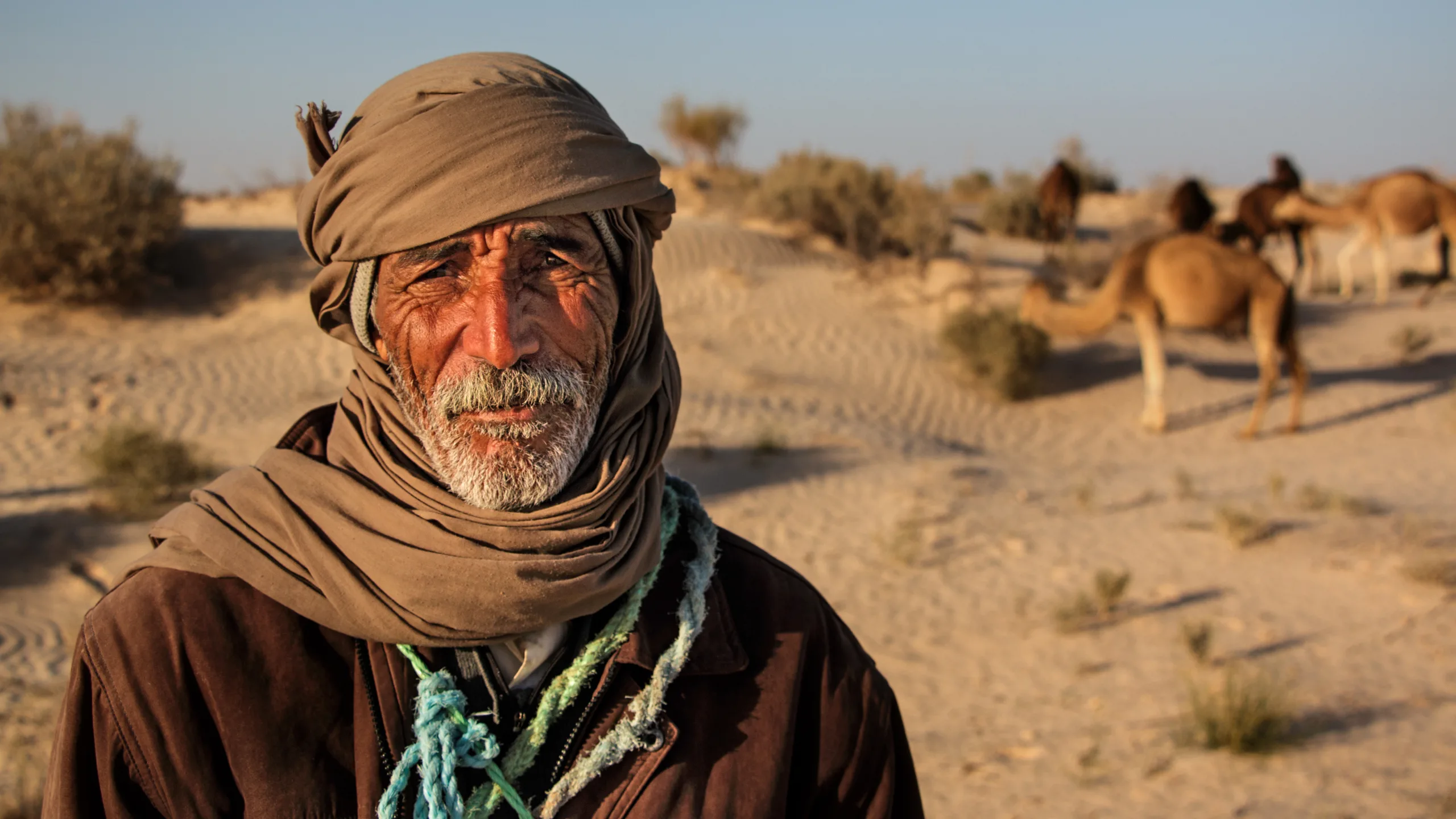 Mobilize Camel Herders